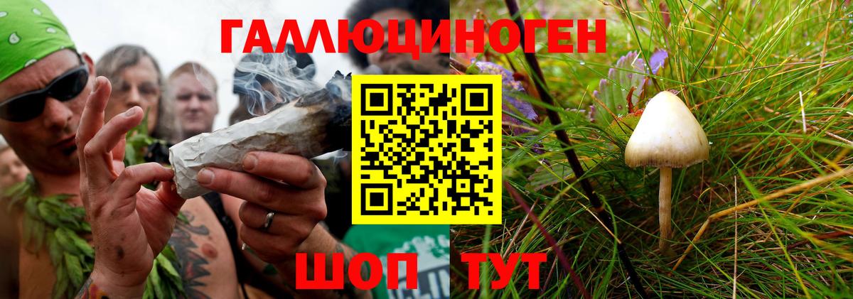 Псилоцибиновые грибы мицелий  Вход с VPN  Камень-на-Оби 